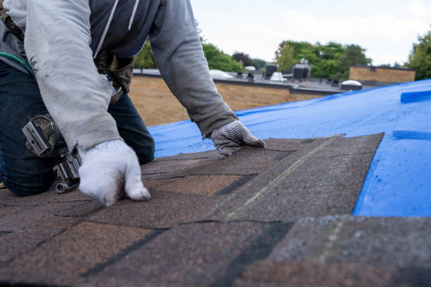 Best Commercial Roofing Services  in Lusk, WY