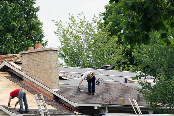 Best Roof Leak Repair  in Lusk, WY