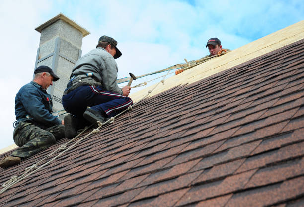 Best Roof Gutter Cleaning  in Lusk, WY
